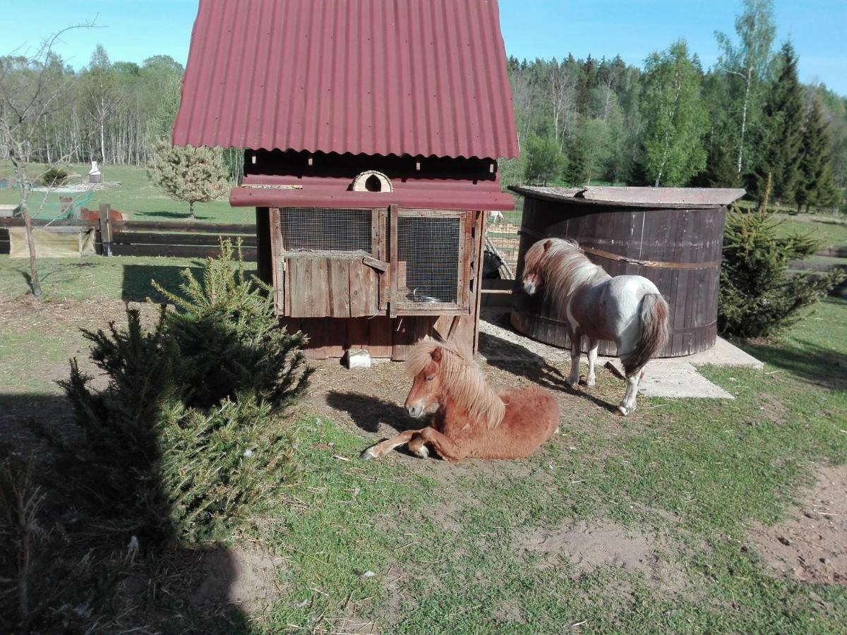 Skaistkrasti Villa Tinuzi Eksteriør billede