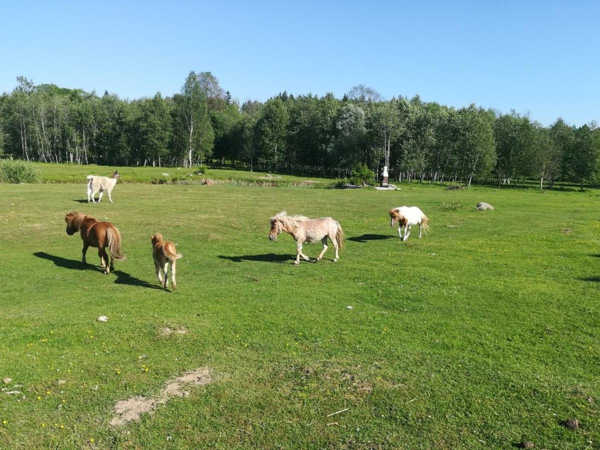 Skaistkrasti Villa Tinuzi Eksteriør billede