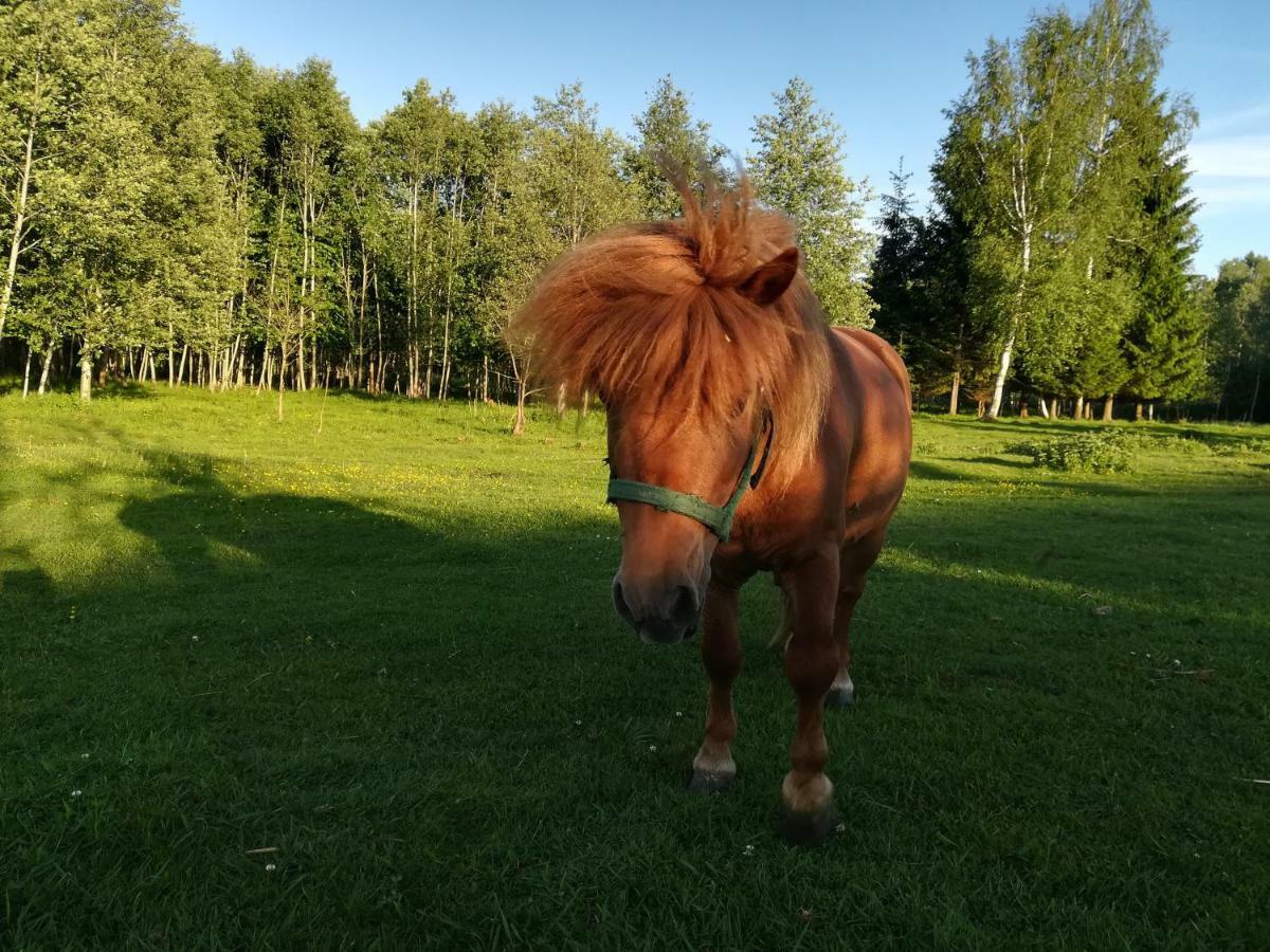 Skaistkrasti Villa Tinuzi Eksteriør billede