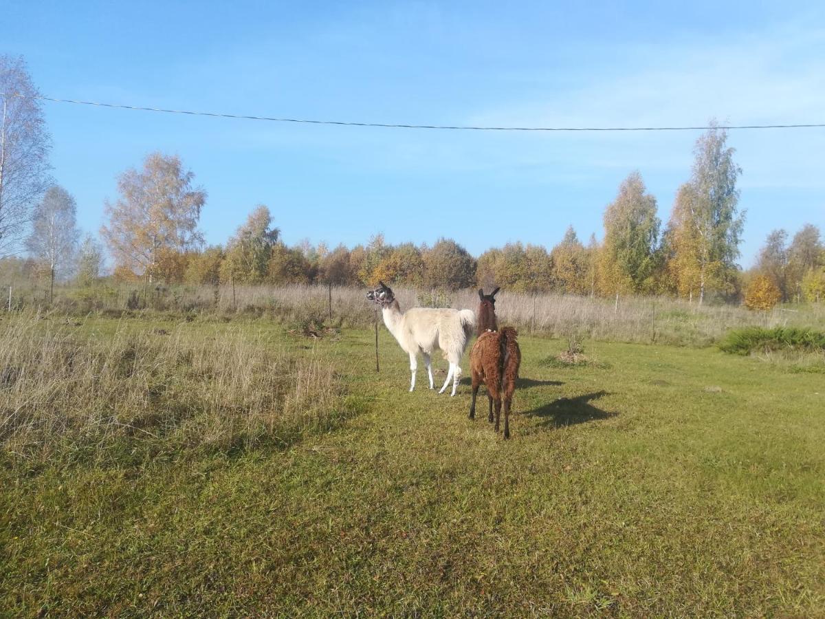 Skaistkrasti Villa Tinuzi Eksteriør billede